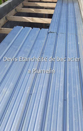 Devis Etanchéité de bac acier a Plumelin