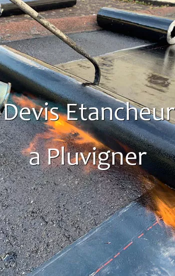 Devis Etancheur a Pluvigner