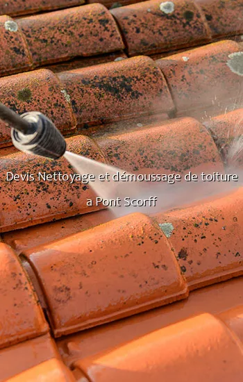 Devis Nettoyage et démoussage de toiture a Pont Scorff