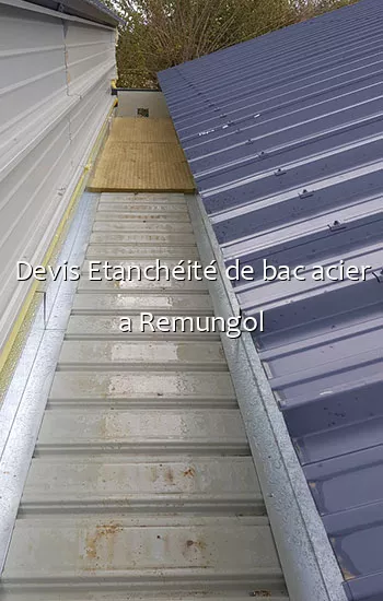 Devis Etanchéité de bac acier a Remungol