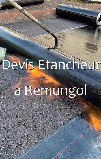 Devis Etancheur a Remungol