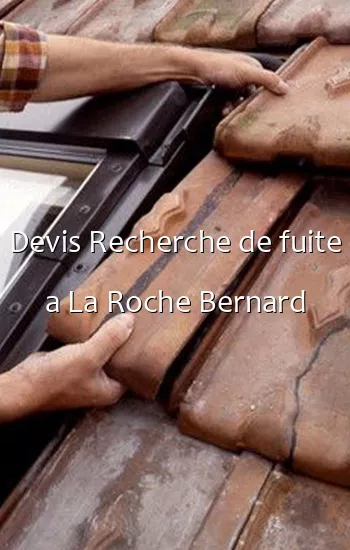 Devis Recherche de fuite a La Roche Bernard