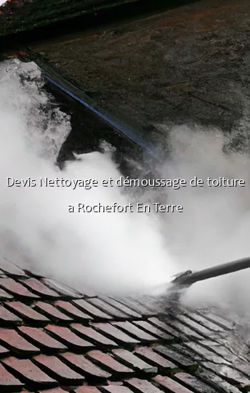 Devis Nettoyage et démoussage de toiture a Rochefort En Terre