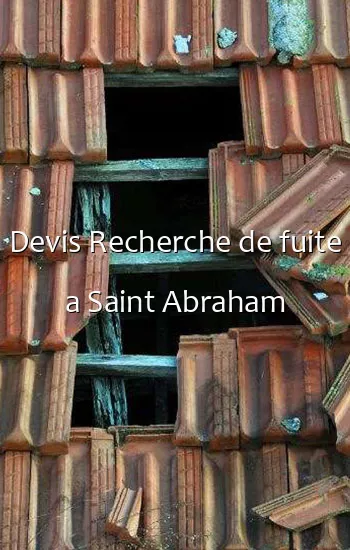 Devis Recherche de fuite a Saint Abraham