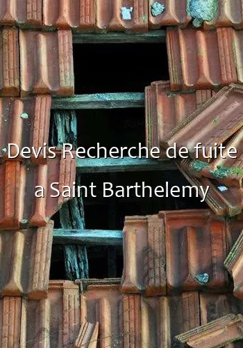 Devis Recherche de fuite a Saint Barthelemy