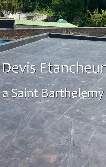 Devis Etancheur a Saint Barthelemy