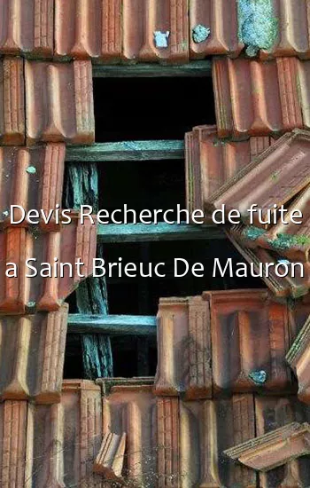 Devis Recherche de fuite a Saint Brieuc De Mauron