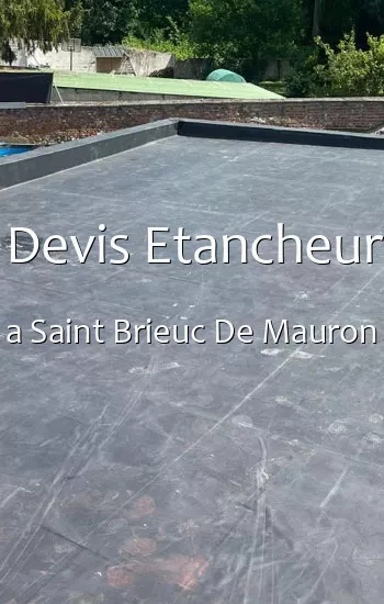 Devis Etancheur a Saint Brieuc De Mauron