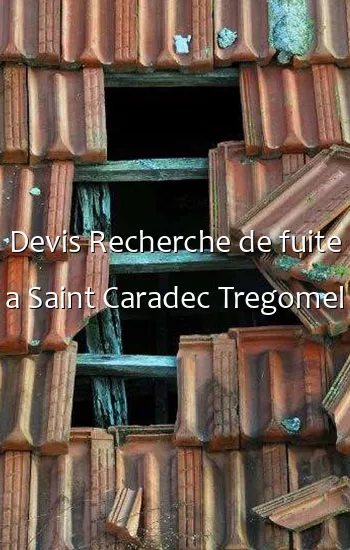 Devis Recherche de fuite a Saint Caradec Tregomel