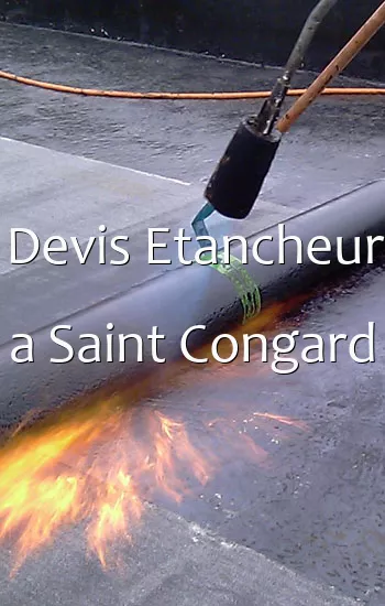 Devis Etancheur a Saint Congard