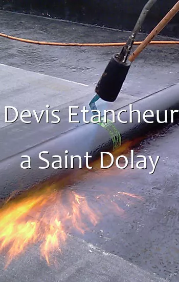Devis Etancheur a Saint Dolay