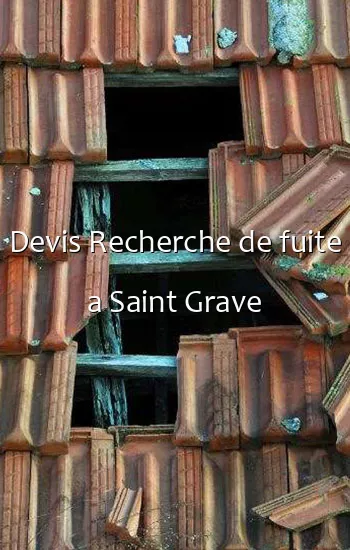 Devis Recherche de fuite a Saint Grave