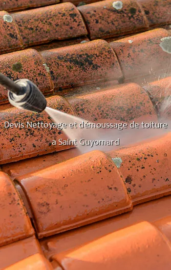 Devis Nettoyage et démoussage de toiture a Saint Guyomard