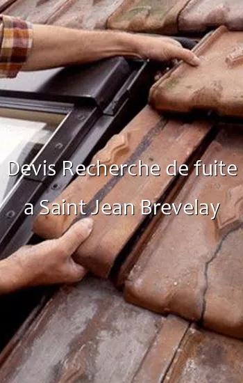 Devis Recherche de fuite a Saint Jean Brevelay