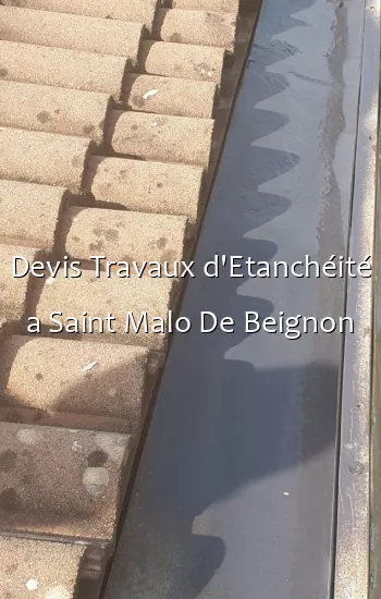 Devis Travaux d'Etanchéité a Saint Malo De Beignon