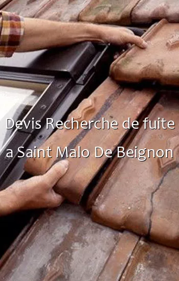 Devis Recherche de fuite a Saint Malo De Beignon