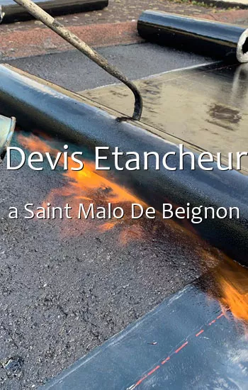 Devis Etancheur a Saint Malo De Beignon