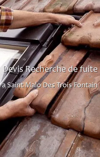 Devis Recherche de fuite a Saint Malo Des Trois Fontain
