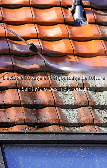 Devis Nettoyage et démoussage de toiture a Saint Malo Des Trois Fontain