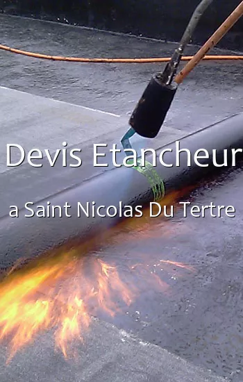 Devis Etancheur a Saint Nicolas Du Tertre