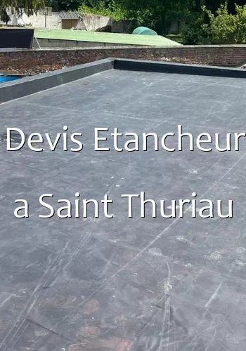 Devis Etancheur a Saint Thuriau