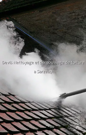 Devis Nettoyage et démoussage de toiture a Sarzeau