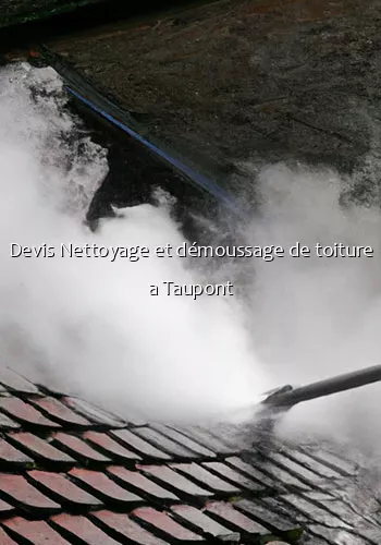 Devis Nettoyage et démoussage de toiture a Taupont