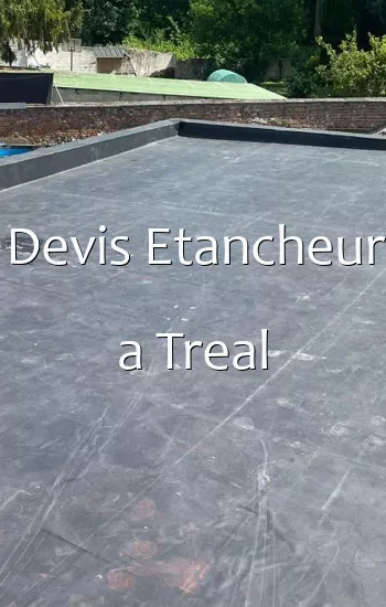 Devis Etancheur a Treal