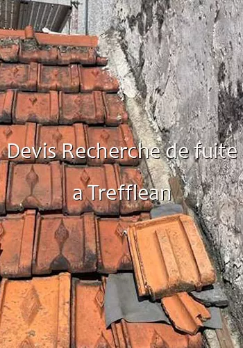 Devis Recherche de fuite a Trefflean