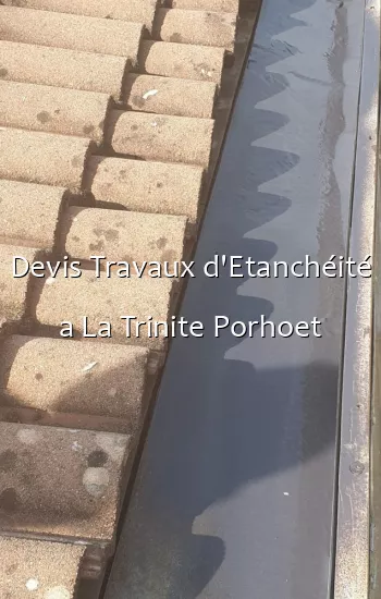 Devis Travaux d'Etanchéité a La Trinite Porhoet