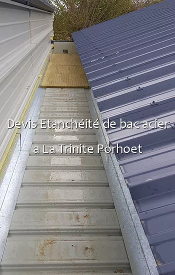 Devis Etanchéité de bac acier a La Trinite Porhoet
