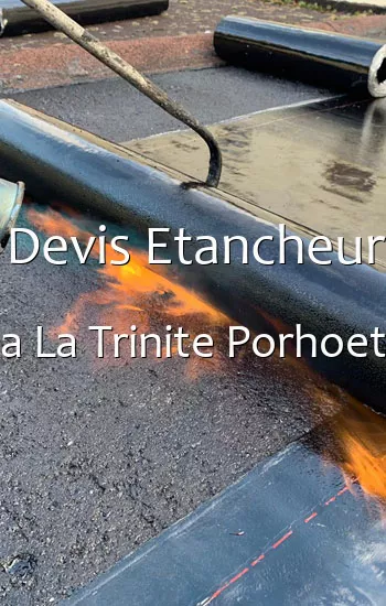 Devis Etancheur a La Trinite Porhoet