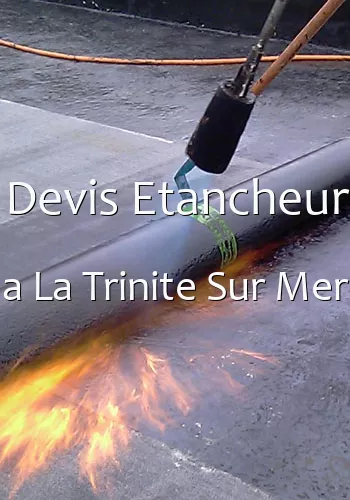 Devis Etancheur a La Trinite Sur Mer