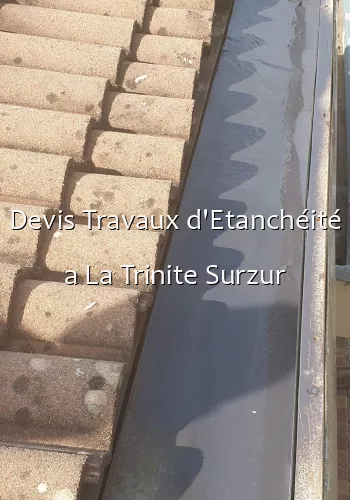Devis Travaux d'Etanchéité a La Trinite Surzur