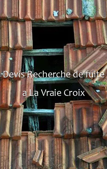 Devis Recherche de fuite a La Vraie Croix