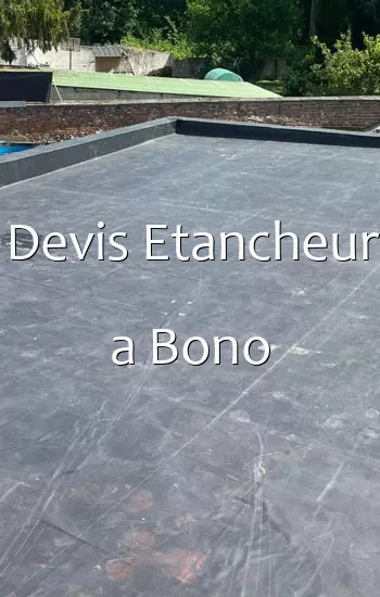 Devis Etancheur a Bono