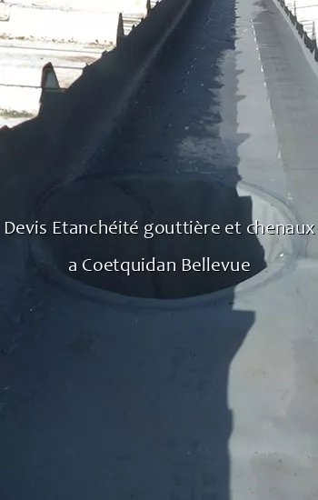 Devis Etanchéité gouttière et chenaux a Coetquidan Bellevue